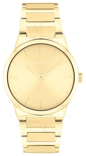 Calvin Klein CK25100077 karóra