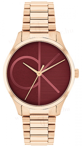 Calvin Klein CK25200347 karóra